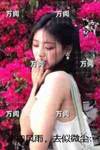 来如风雨，去似微尘：独家整理