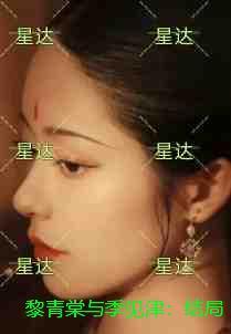 黎青棠与季见津：+后续+结局