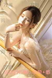 迟迟白日晚：全集小说推荐