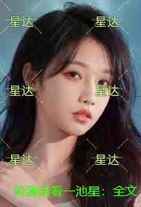 倚澜闲看一池星：全文+后续