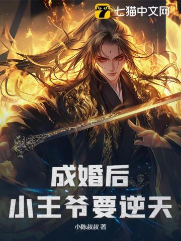 成婚后，小王爷要逆天