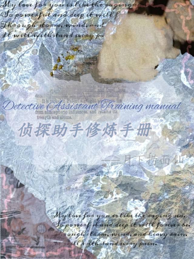 侦探助手修炼手册