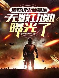 遭强拆忠魂墓地，无数功勋曝光了