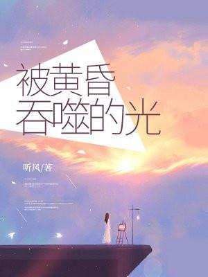 被黄昏吞噬的光