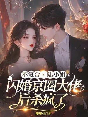 不复合,陆小姐闪婚京圈大佬后杀疯了
