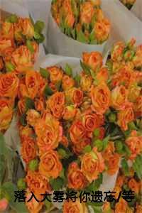 落入大雾将你遗忘/等爱的玫瑰/落入迷雾中/大雾散尽