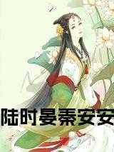 陆时晏秦安安全文