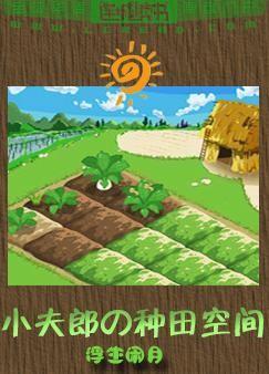 小夫郎的种田空间