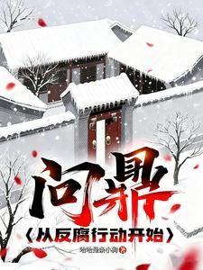 问鼎：从反腐行动开始