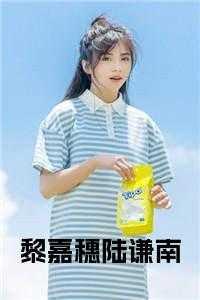 黎嘉穗陆谦南免费