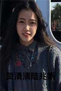 贺清清陆兆衡在线小说 贺清清陆兆衡在线小说