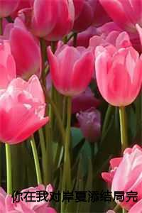 你在我对岸夏添结局完结+番外 你在我对岸夏添结局完结+番外