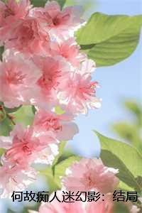 何故痴人迷幻影：结局+番外