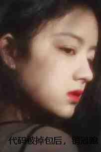 代码被掉包后，销冠跑路了爽文