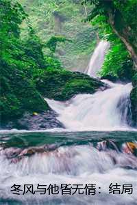 冬风与他皆无情:结局+番外 冬风与他皆无情:结局+番外