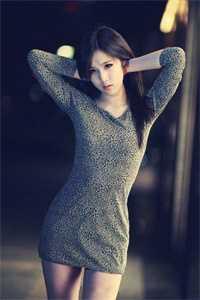 书生与佳人的恋曲