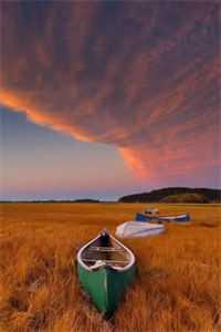 和女主抢男主的那些日子