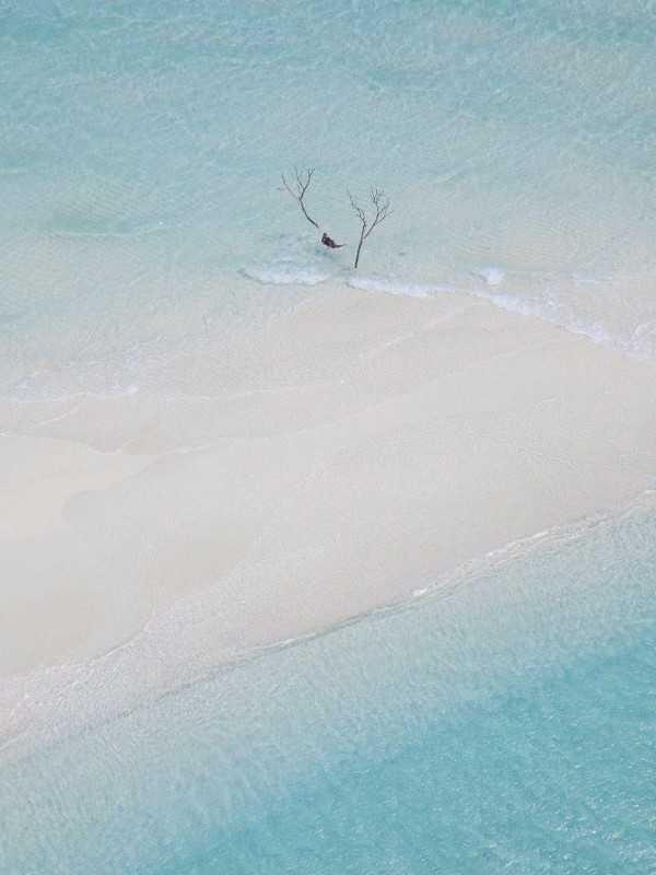 错将鱼目当珍珠