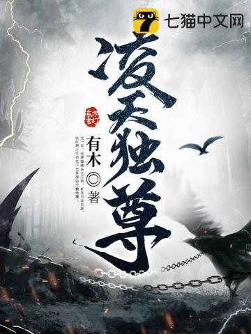 凌天独尊 凌天独尊