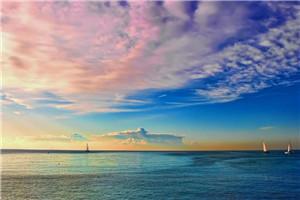 开局叛出宗门，修为被废后他成仙了完结爽文