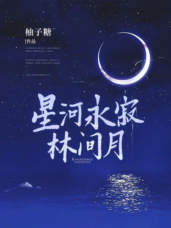 星河永寂林间月