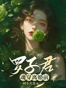 罗子君魂穿离婚前