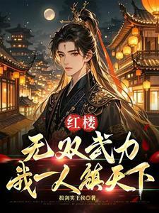 红楼：无双武力，我一人镇天下