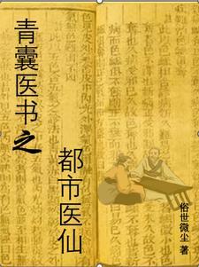 青囊医书之都市医仙