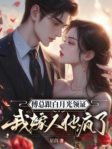 傅总跟白月光领证，我嫁人他疯了