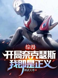 综漫：开局奈克瑟斯，我即是正义