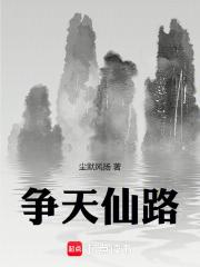 争天仙路
