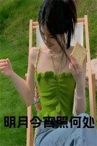 明月今宵照何处