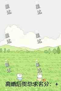 离婚后贺总求名分：+后续+结局精心编著