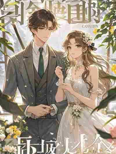 林岁窈陆厌辞完结篇(月光未寄达的信)精心编著