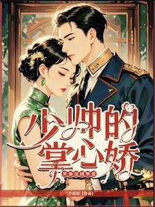 少帅的掌心娇：从协议到挚爱