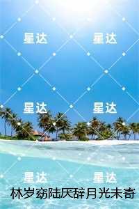 林岁窈陆厌辞月光未寄达的信：结局+番外