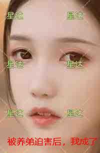 被养弟迫害后，我成了全网顶流