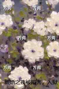 新婚之夜被陷害，入狱归来一无所有：+后续+结局