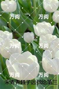 宋青青聂子远我给第三十八任老公过喜：+后续