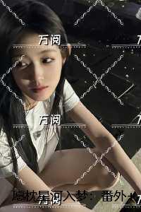 愿枕星河入梦：结局+番外优质全章