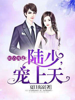 BOSS凶猛：陆少，宠上天