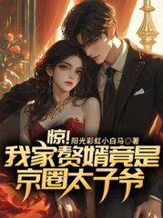 主角陆清婉苏辰风全章节阅读