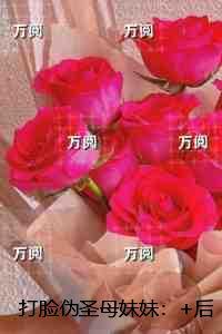 打脸伪圣母妹妹：结局+番外新书