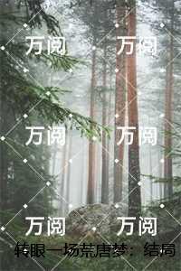 转眼一场荒唐梦：番外+后续