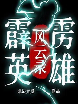 霹雳英雄风云录