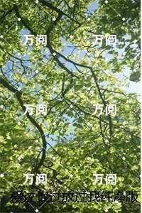 爱过恨过放过我纯净版：的小说