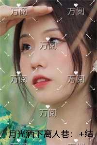 月光洒下离人巷：章节速览