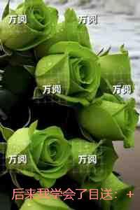 后来我学会了目送：免费阅读无弹窗