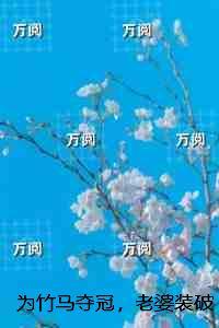 为竹马夺冠，老婆装破产拉我跌下神坛：良心推荐