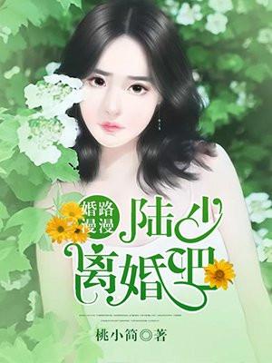婚路漫漫：陆少离婚吧！